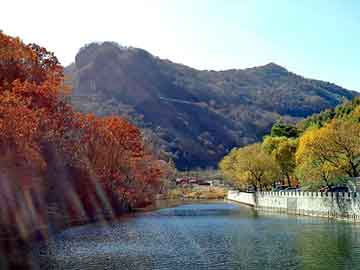 澳门二四六天天彩图库，氯化锌报价